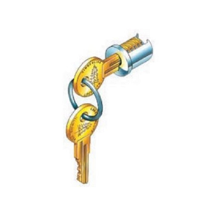 Lock Plug
