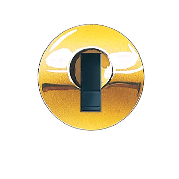 Lock Plug