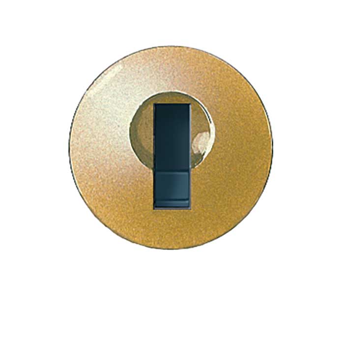 Lock Plug